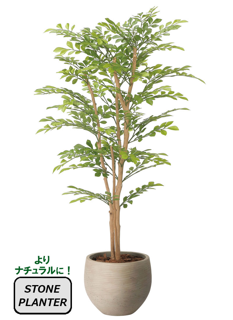 光触媒人工観葉植物、ナチュラルライトトネリコ1.1m、ストーンプランター