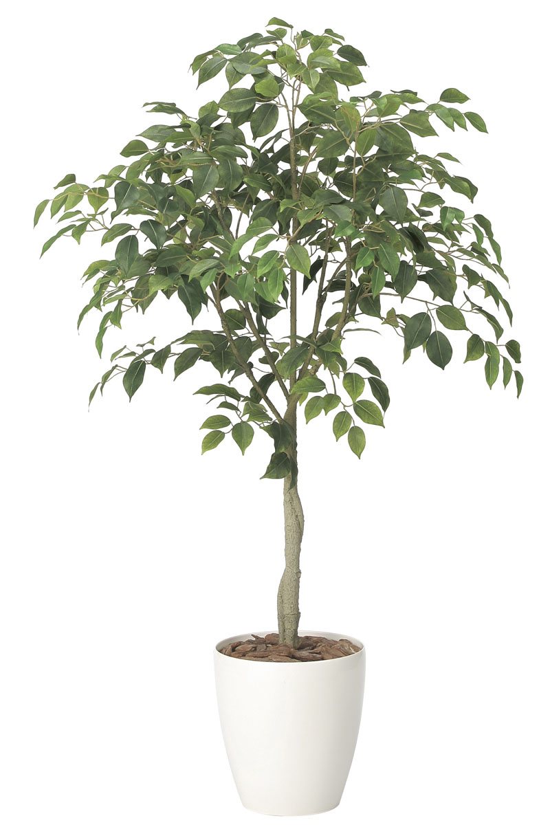 光触媒人工観葉植物、フィカスツリー1.35m