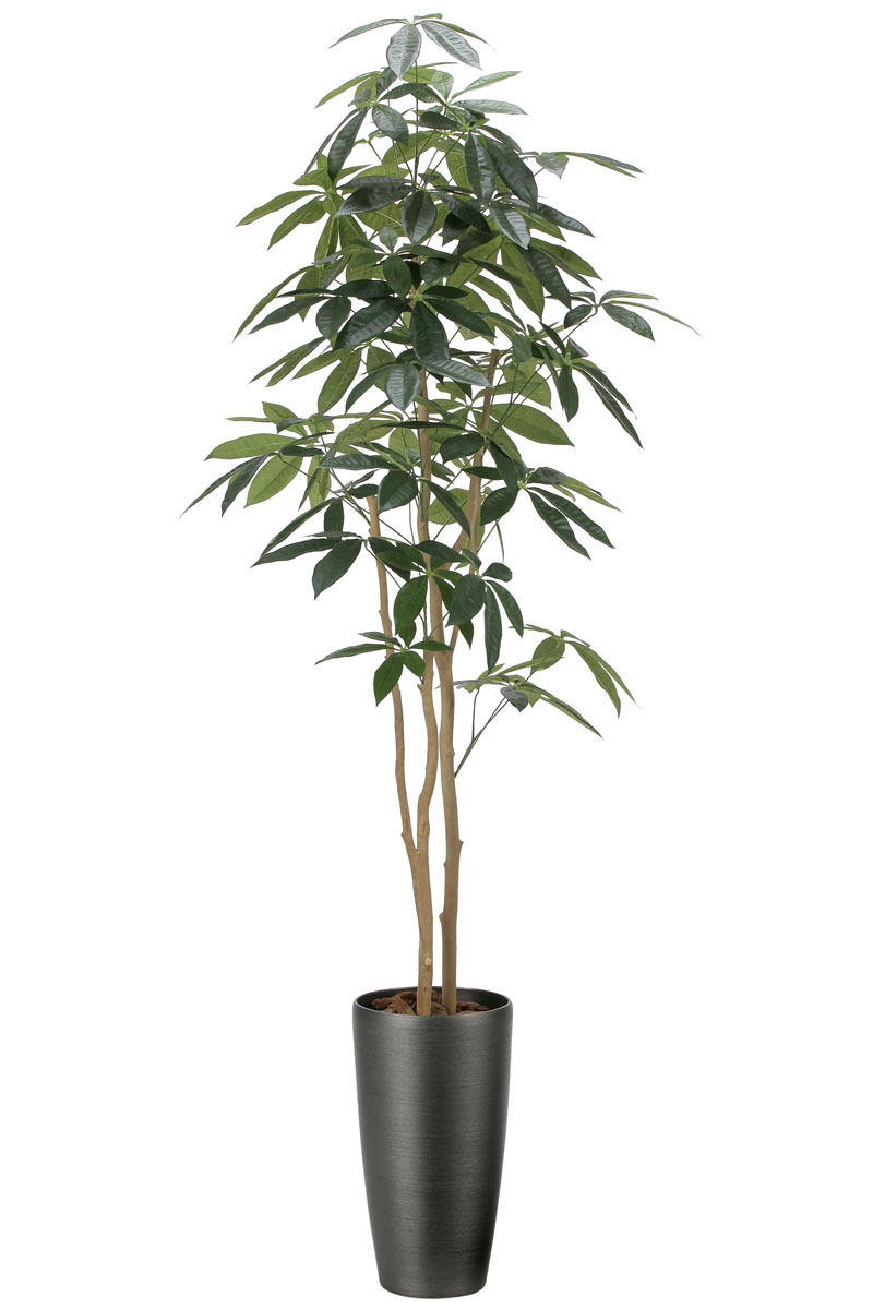 光触媒人工観葉植物、スリムパキラ1.8m