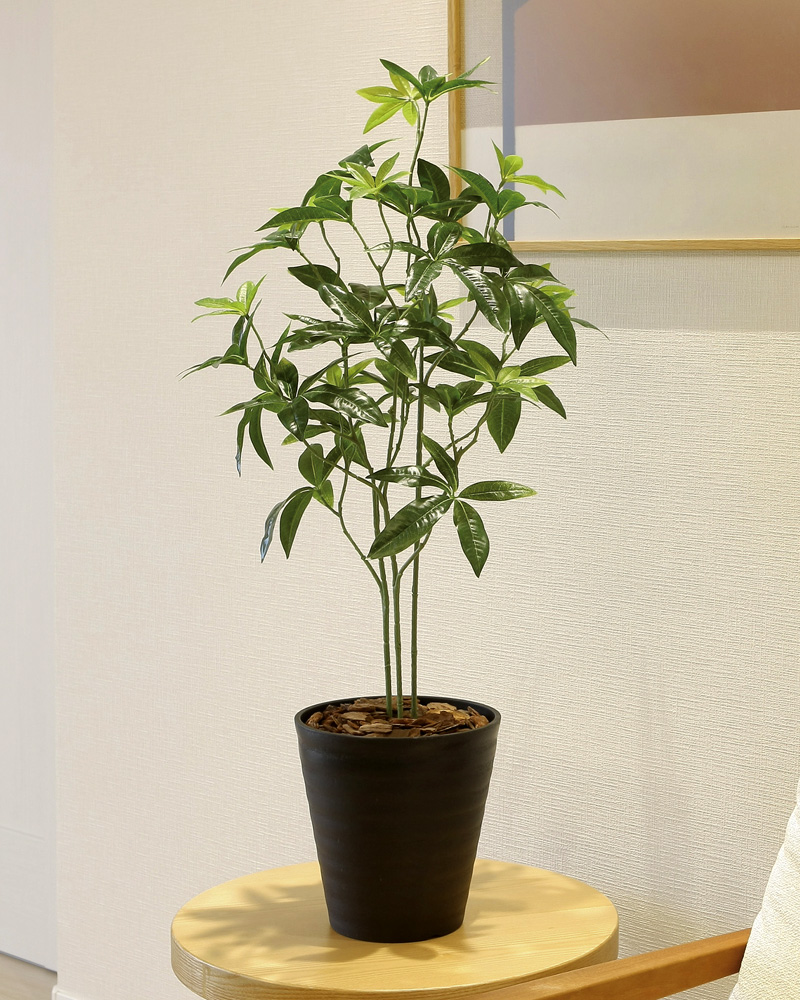 フェイクグリーン 人工観葉植物 インテリア リアル 光触媒 観葉植物