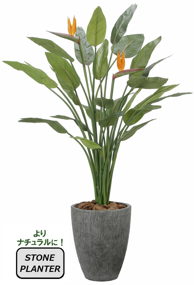 光触媒人工観葉植物、ナチュラルストレチア花付1.7m
