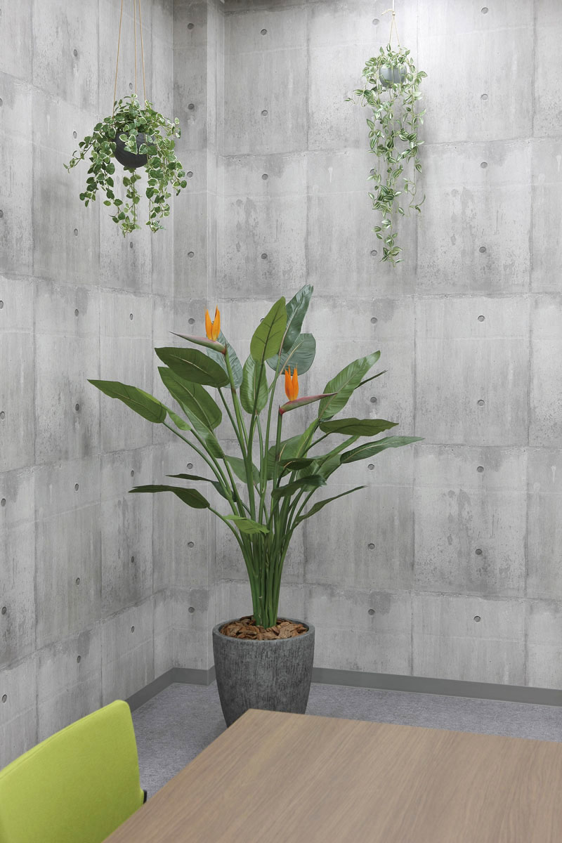 光触媒人工観葉植物、ナチュラルストレチア花付1.7m