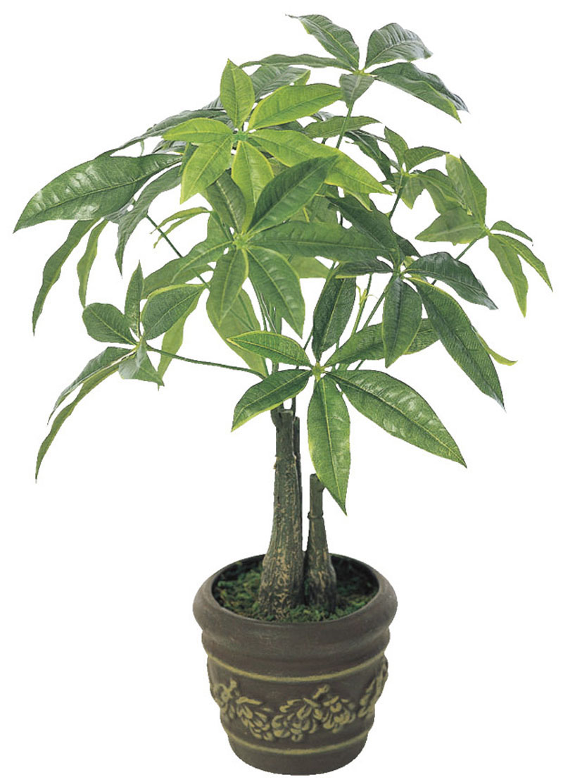 光触媒人工観葉植物、パキラポットＭ