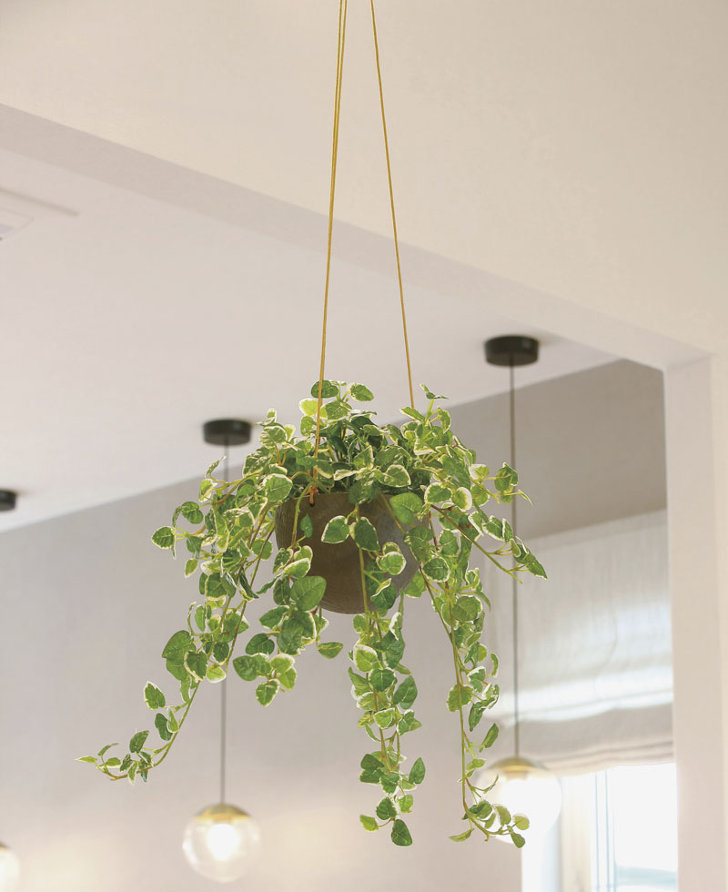 フェイクグリーン 人工観葉植物 光触媒 ハンギング 壁掛け 造花
