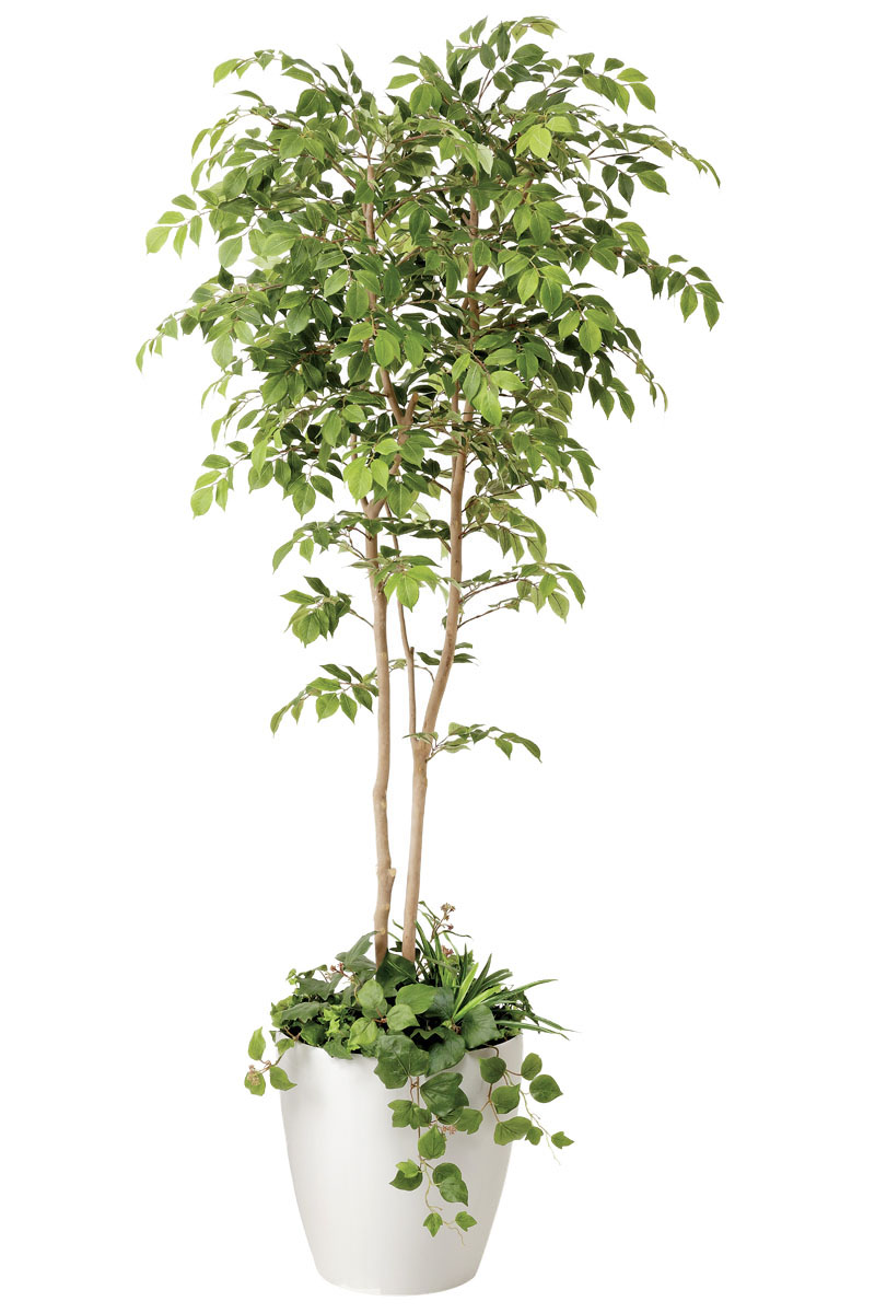 光触媒　人工観葉植物　フェイクグリーン　マウンテンアッシュ1.8m 光触媒 観葉植物 フェイクグリーン 人工観葉植物 大型 マウンテン