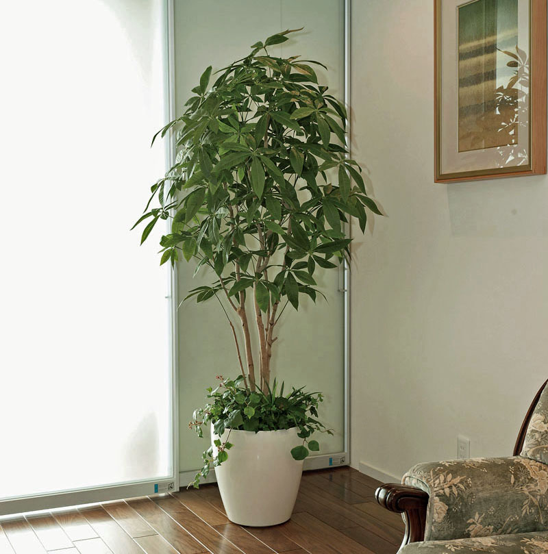光触媒 観葉植物 人工観葉植物 大型、光の楽園 パキラ 1.8m 植栽付【インテリア・フェイク グリーン】