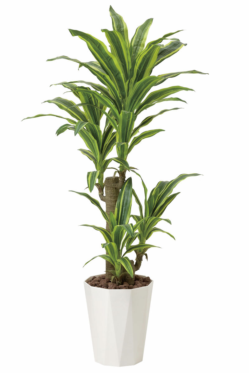 光触媒人工観葉植物、フレッシュドラセナ1.25m