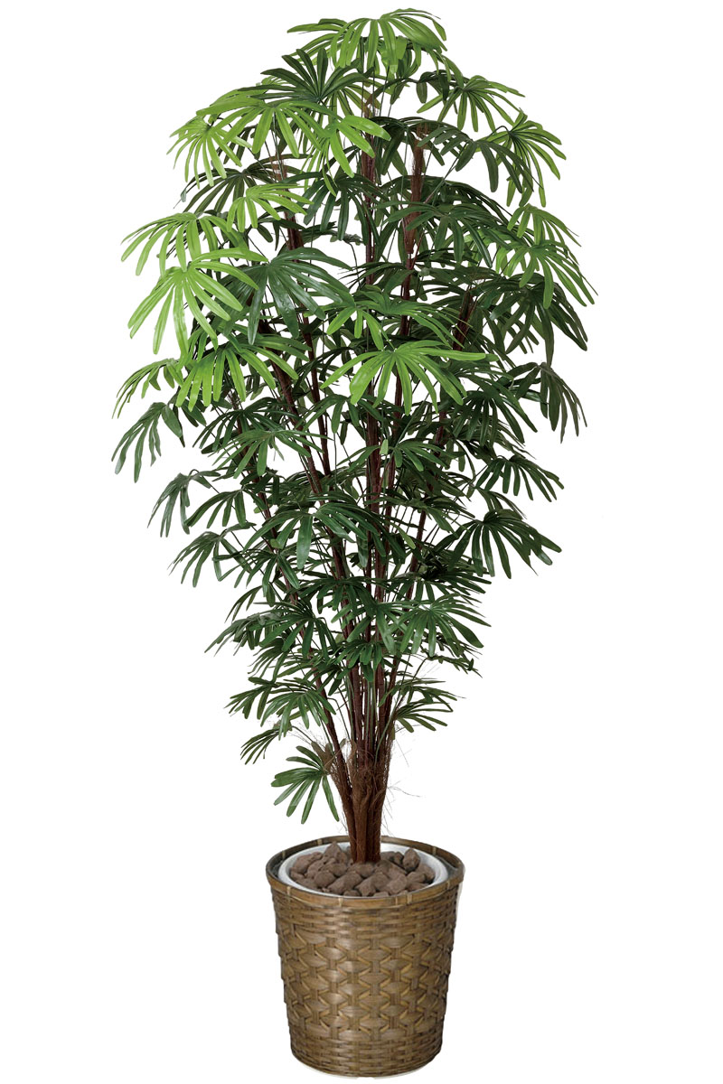 光触媒人工観葉植物、シュロチク1.8m