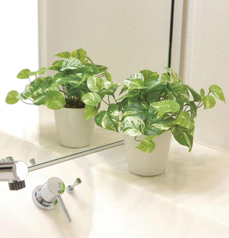光触媒人工観葉植物、マーブルポトス