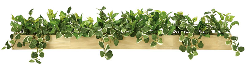 光触媒 人工観葉植物 フェイクグリーン　ウッドボックスＳＬ （ボックスだけのサイズ：幅90cm、奥行6cm、高さ6cm）