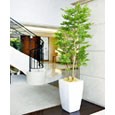 光触媒人工観葉植物（インテリアグリーン）アーバンゴールデンリーフ1.8m