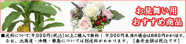 光触媒 人工観葉植物、人工観葉植物、人工観葉植物 お見舞い用、お見舞い用、フェイクグリーン、人工樹木、お見舞い