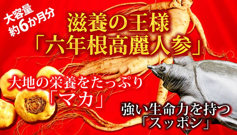 高麗人参 六年根高麗人参すっぽんマカ 360粒 約6か月分 送料無料（ヤマトネコポス・ポスト投函・日時指定不可）サプリメント :spai7737: サプリメントai - 通販 - Yahoo!ショッピング