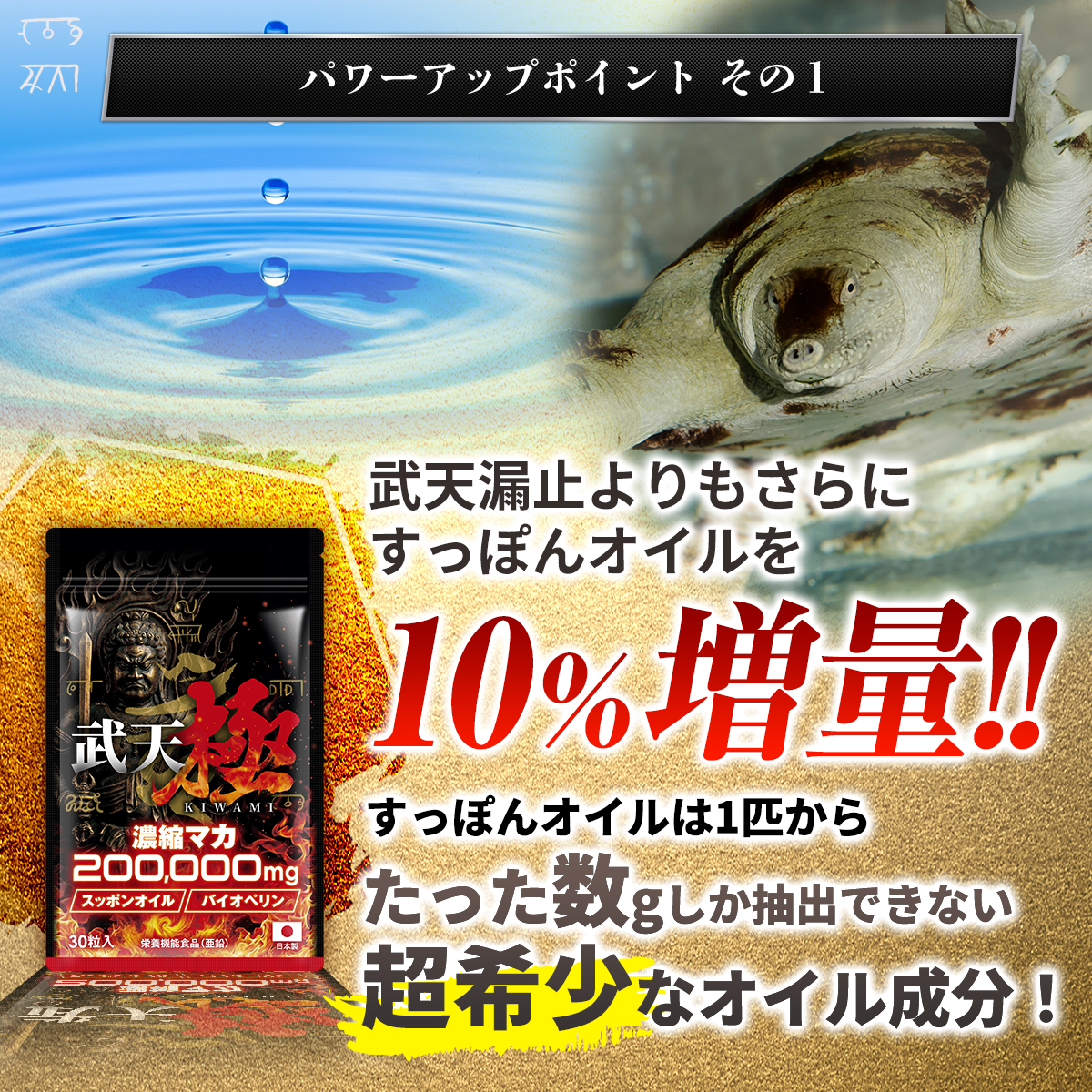 La-idea 【4個おまとめ割引】 武天 極 お得セット 100倍濃縮マカ