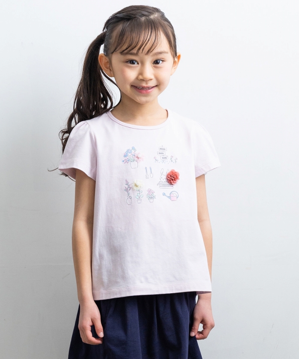 5224671-colvariation.jpg