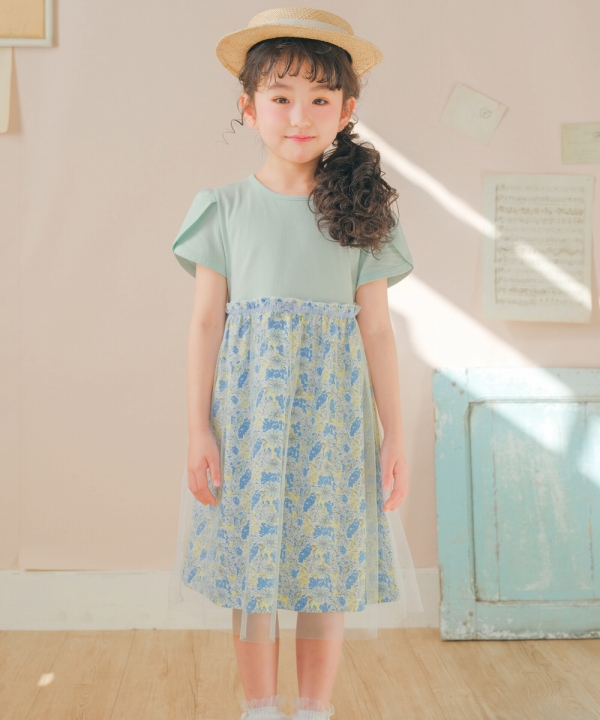 5426331-green_10.jpg
