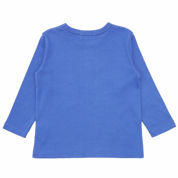7634711-blue_7