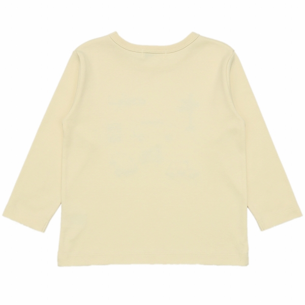 7634711-ivory_7