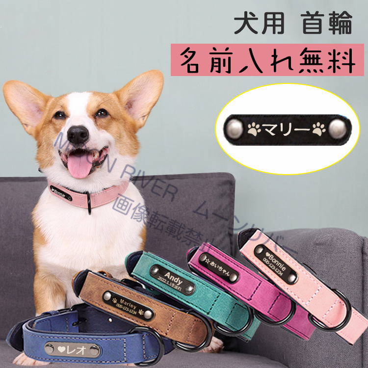 Amazon.co.jp: [Skechers] レディース アーチフィット