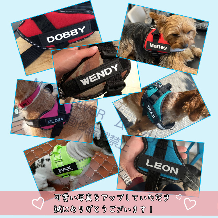 犬 胴輪 ハーネス用ラベル 同じ2枚 名入れ 名前入り オリジナルラベル