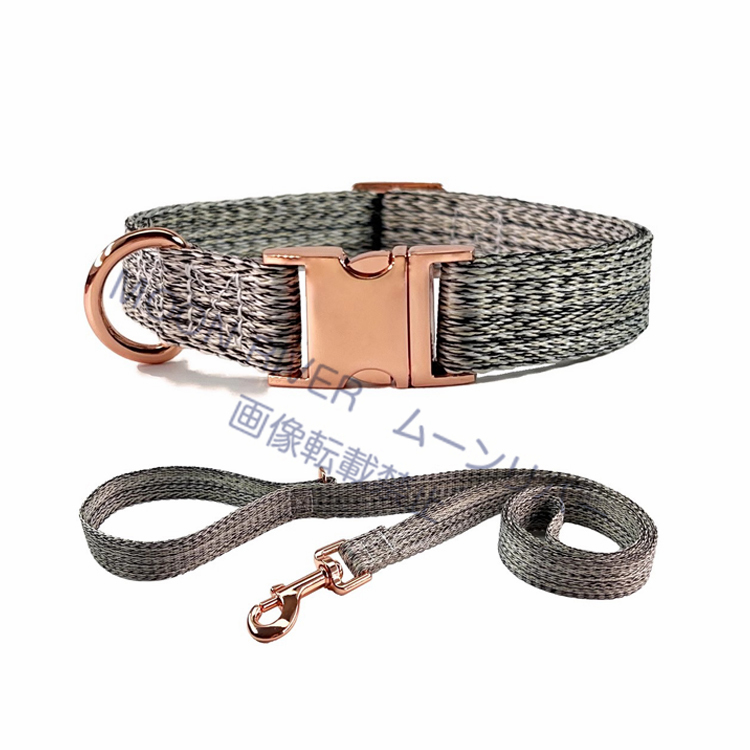 首輪 リード 名入れ 犬 名前入り 犬用 2点セット ネーム入れ 迷子札