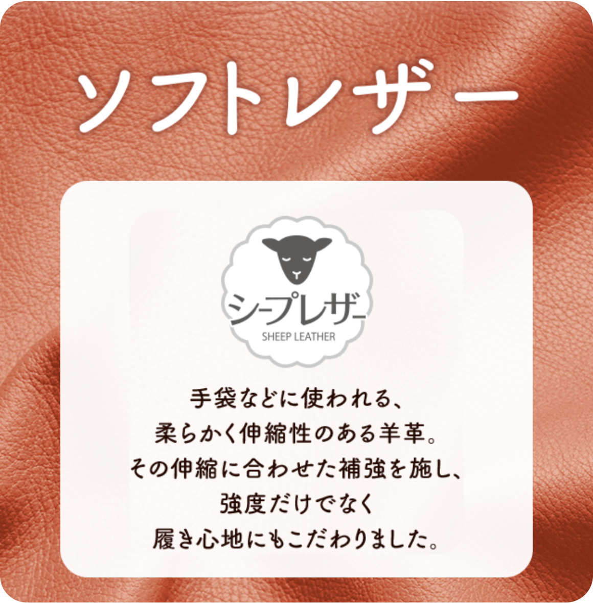 ムーンスター スポルス スニーカー 幅広 3E 本革 革靴 撥水 レディース 