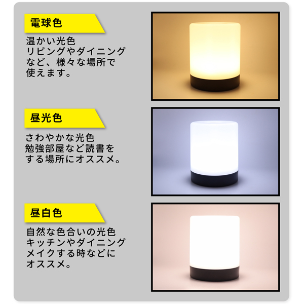 20230213-580light_4.jpg
