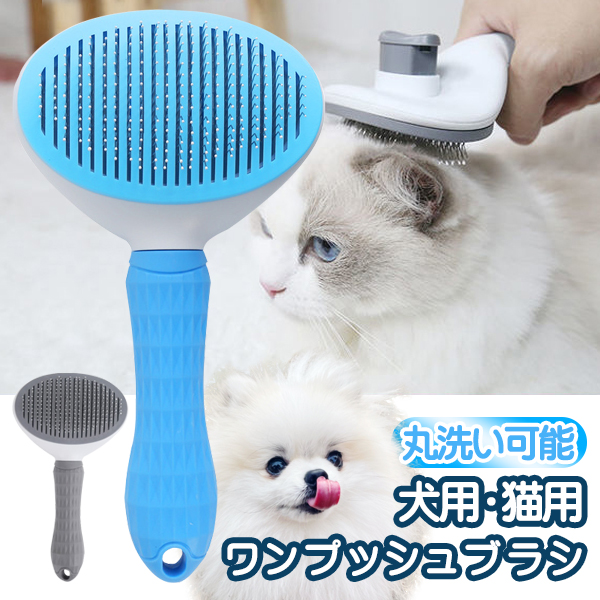 20231025-pet.jpg