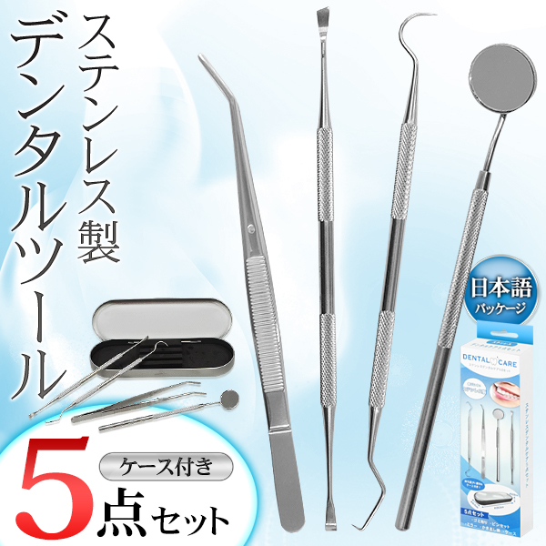 歯石取り 5点セット ケース付き 歯石除去 スケーラー ミラー 歯石とり