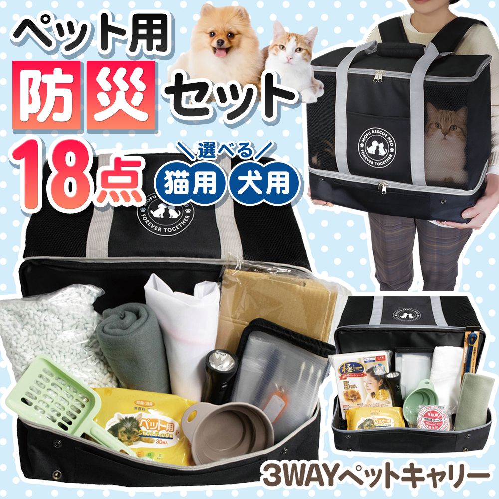 20250725-pet.jpg