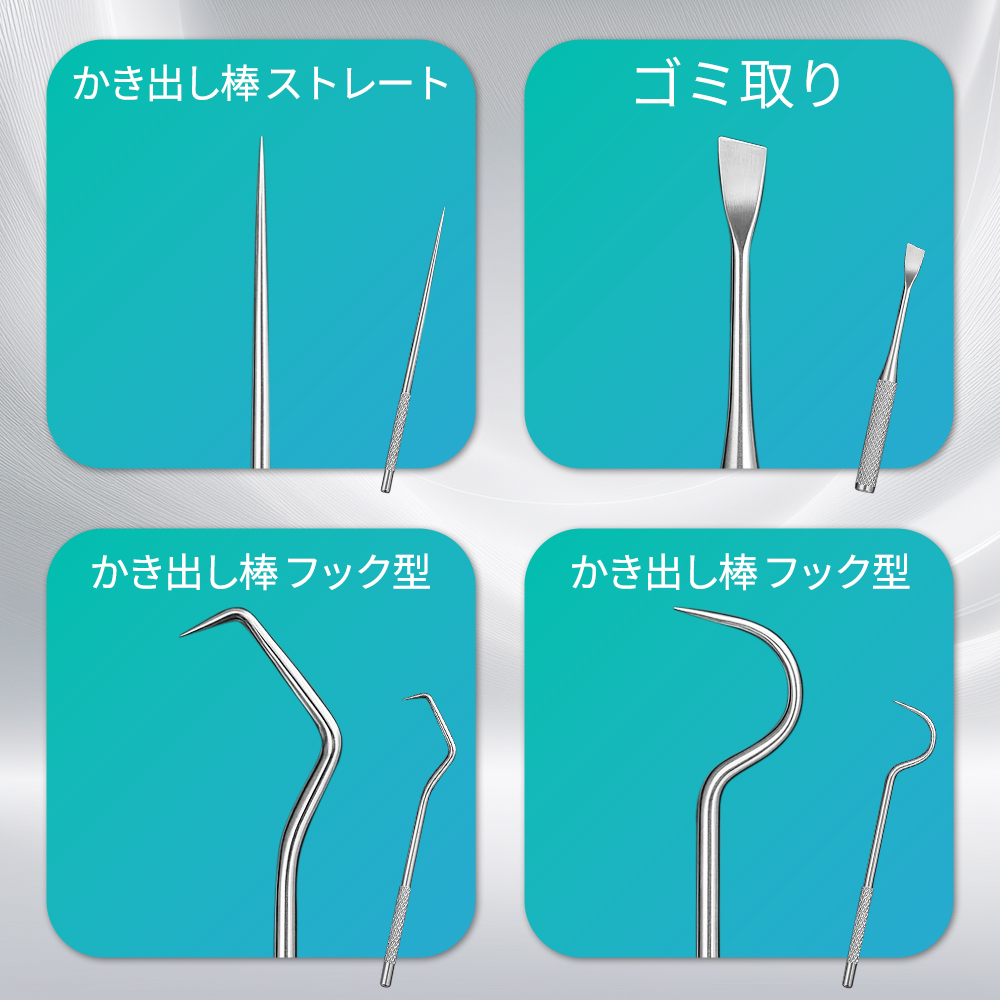 歯科用器具 セット ステンレス製 デンタルケア 5点セット ステンレス製 収納ケース付き 歯石除去 セルフ