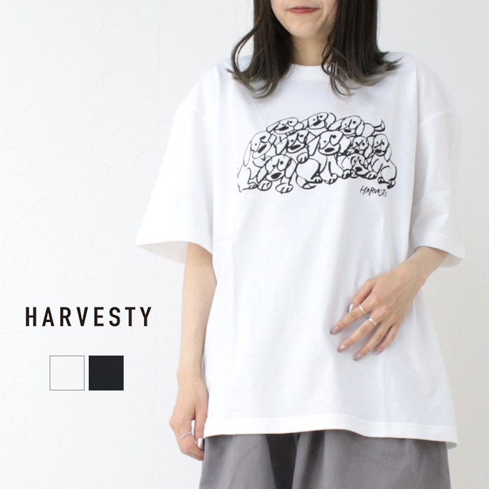 ハーベスティ HARVESTY プリントボックスTシャツ PRINTED BOX TEE A52514 日本製 犬 イラスト 半袖 コラボ トップス レディース メンズ 男女兼用 2025春夏 | HARVESTY