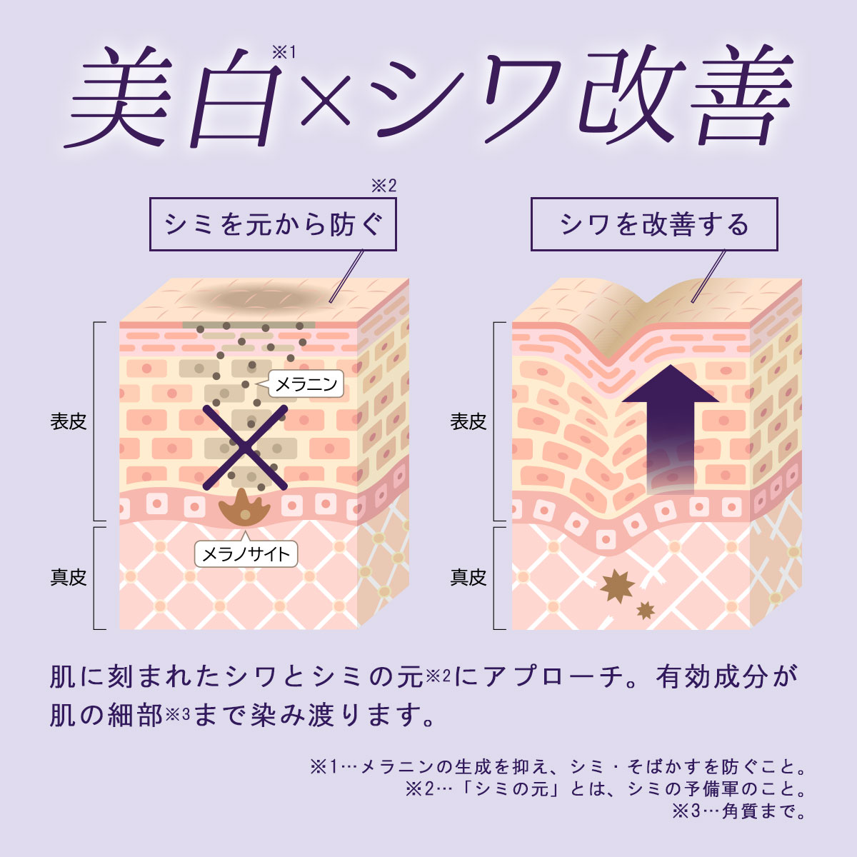 商品画像8