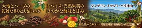 インドネシア