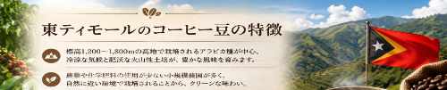 東ティモール