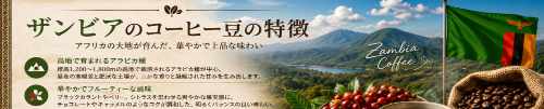 ザンビア