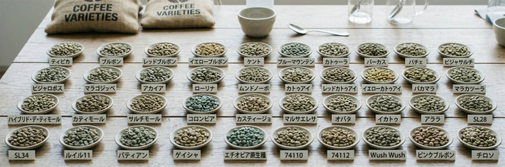 品種
