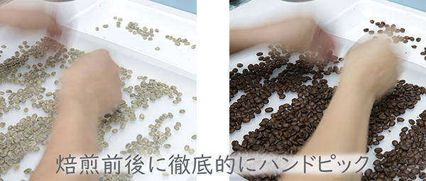注文焙煎