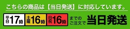 当日発送