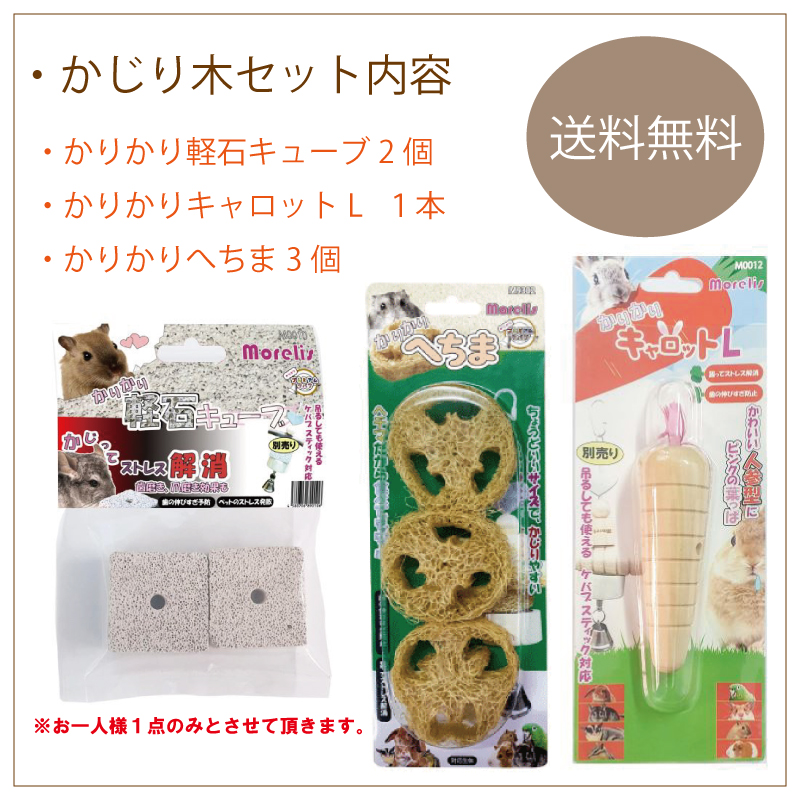大決算セールかじり木 お試しセット ミディアムサイズ 送料無料 歯の伸びすぎ防止 ハムスター ストレス発散 おもちゃ デグー チンチラ うさぎ  ケージ、アクセサリー