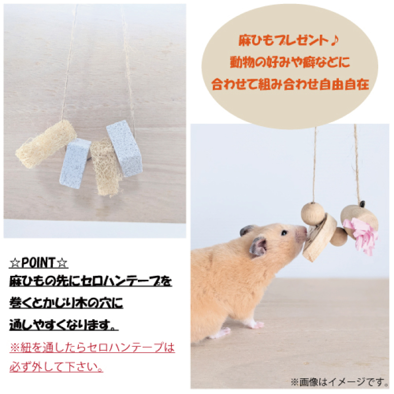 かじり木 予約専用品 imgrc0096640558.jpg