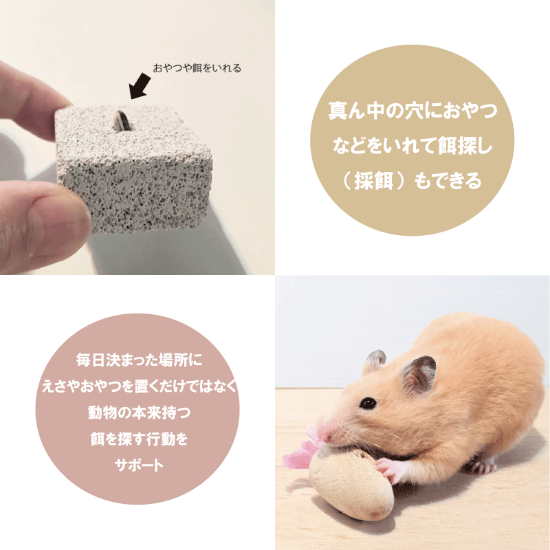 かじり木 お試しセット 送料無料 おもちゃ リス ハムスター チンチラ