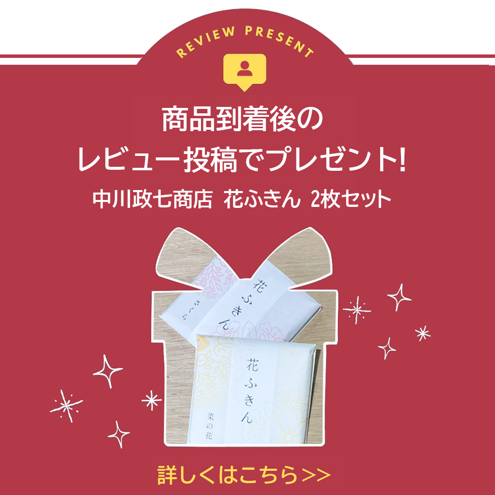 レビュー投稿プレゼント
