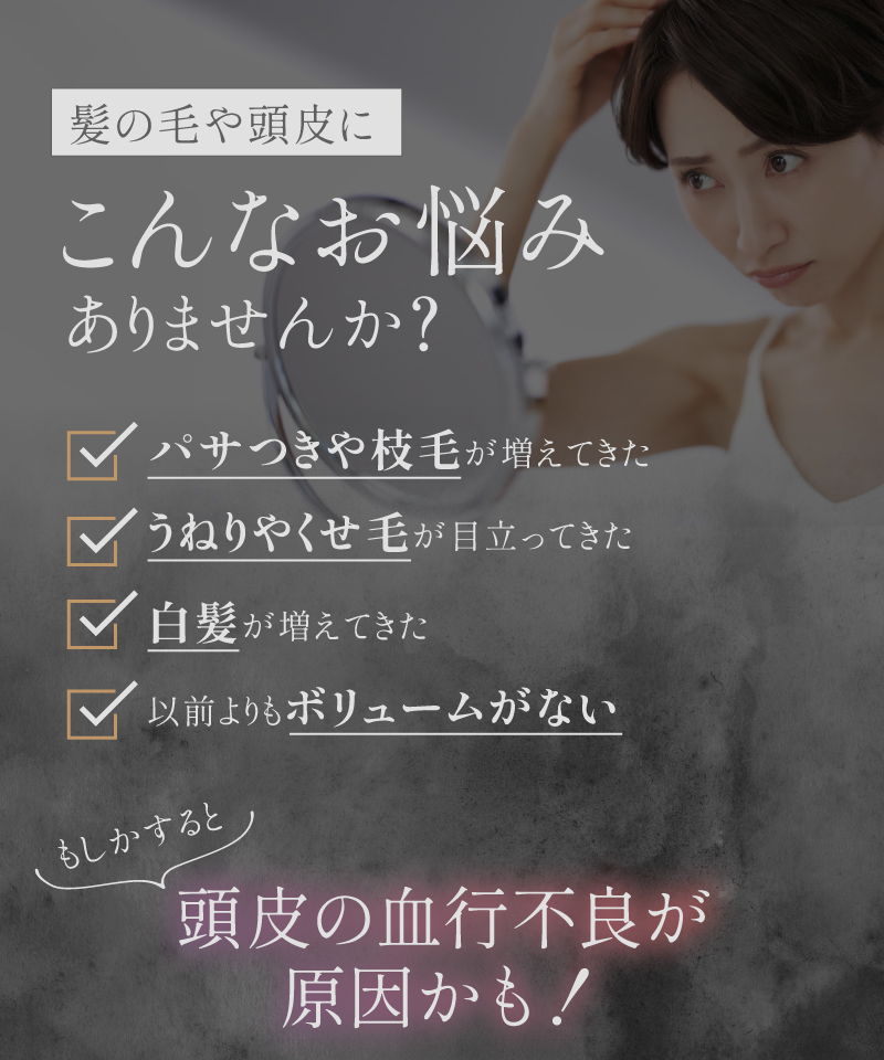 かっさ ブラシ スカルプブラシ ヘアブラシ ヘッドブラシ パドルブラシ カッサ 頭皮 美容 |  | 02