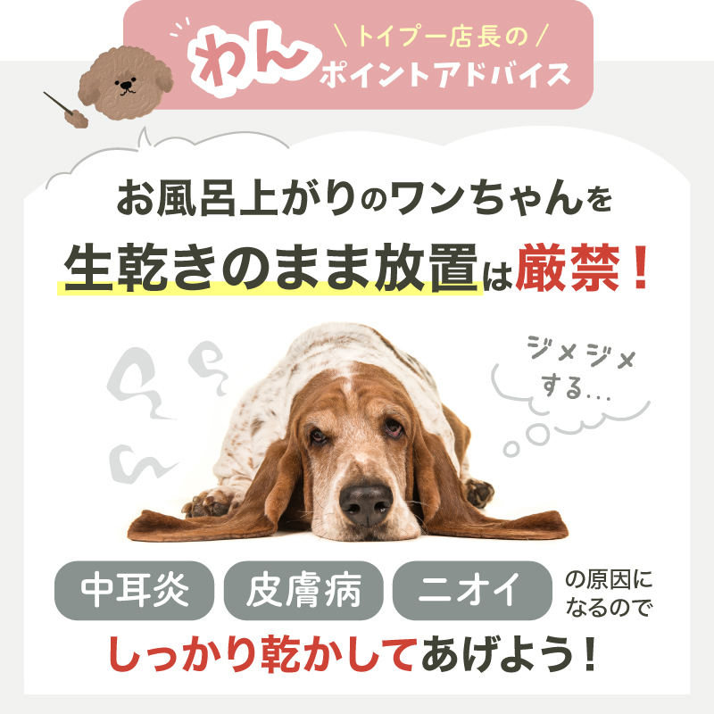 ペット 吸水タオル バスタオル バスローブ 着れるバスタオル 犬用バスローブ マイクロファイバー ラシエム |  | 13