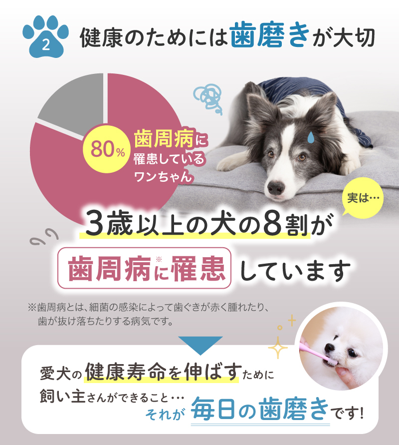 ペット 歯ブラシ 歯ぶらし 犬 猫 はぶらし 歯磨き 痛くない 超極細毛 ラシエム |  | 04