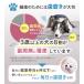 ペット 歯ブラシ 歯ぶらし 犬 猫 はぶらし 歯磨き 痛くない 超極細毛 ラシエム 関連画像4