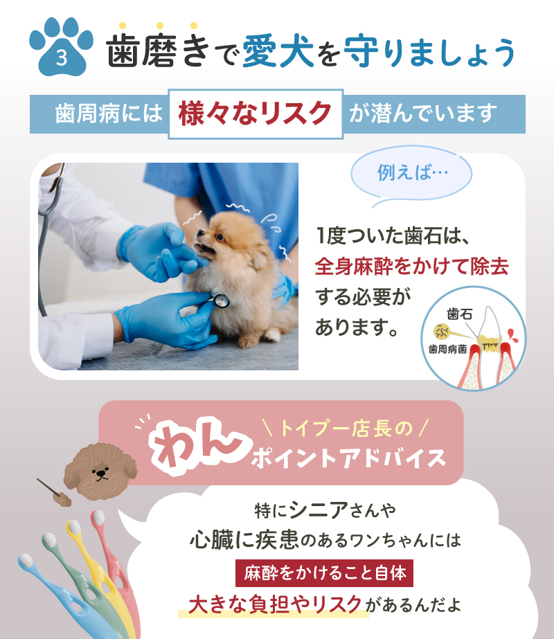 ペット 歯ブラシ 歯ぶらし 犬 猫 はぶらし 歯磨き 痛くない 超極細毛 ラシエム |  | 05