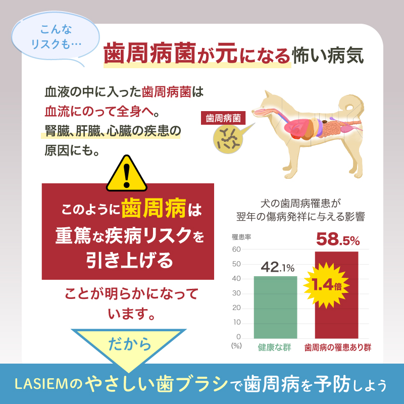 ペット 歯ブラシ 歯ぶらし 犬 猫 はぶらし 歯磨き 痛くない 超極細毛 ラシエム |  | 06