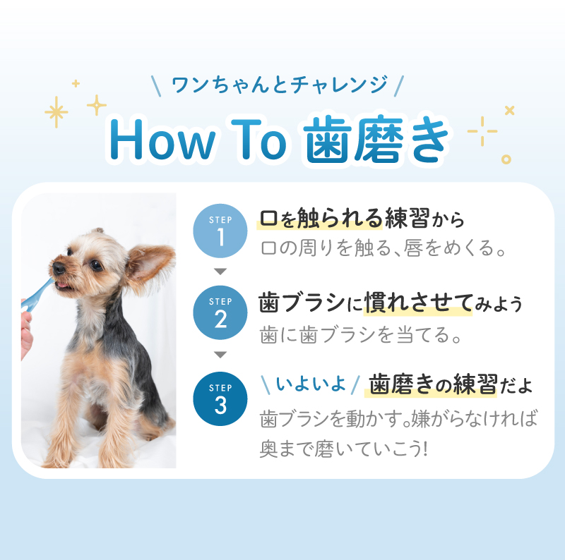 ペット 歯ブラシ 歯ぶらし 犬 猫 はぶらし 歯磨き 痛くない 超極細毛 ラシエム |  | 08